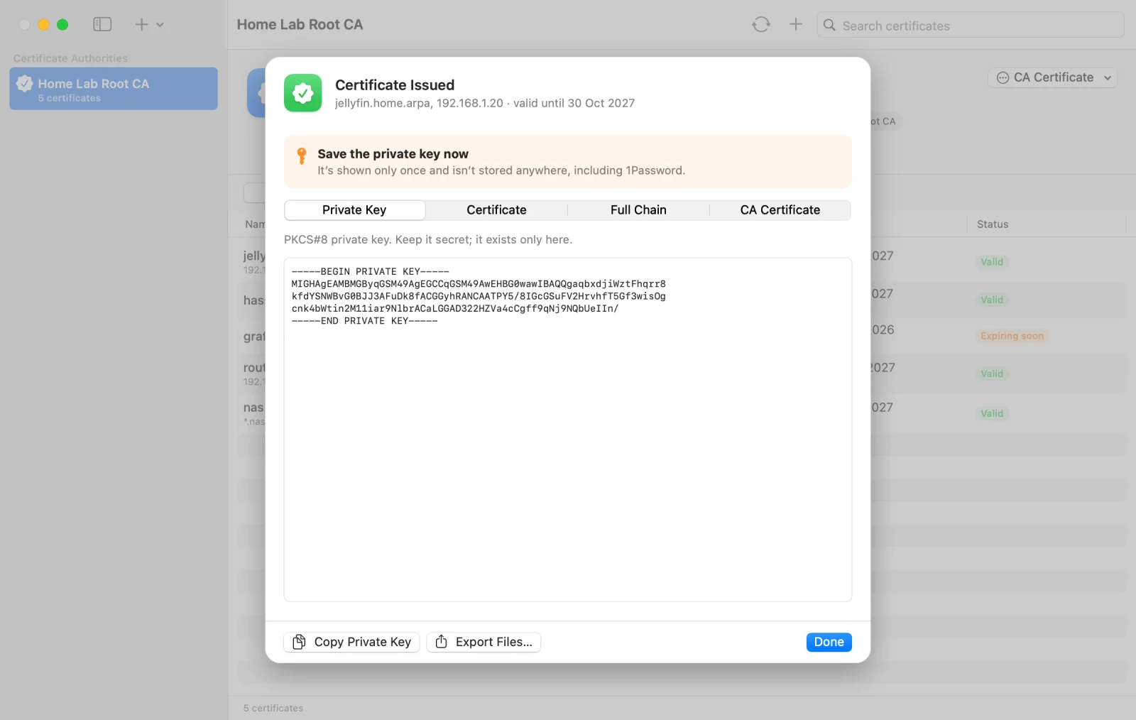 The Certificate Issued sheet for jellyfin.home.arpa and 192.168.1.20, valid until 30 Oct 2027. A banner says to save the private key now, because it's shown only once. Tabs switch between the private key, certificate, full chain and CA certificate, with buttons to copy the key or export files.